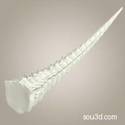 怪兽怪物尾骨尾巴爪子蝎尾鱼尾三维3D打印模型Reptile_E
