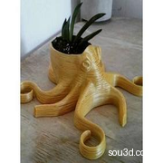 章鱼盆栽