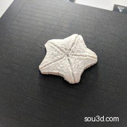 德文特河海星
