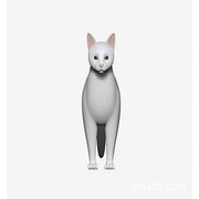 家猫 猫 橘子猫 桔猫 狸猫 豹猫 山猫 野猫 小花猫 写实猫 小猫咪 宠物 家猫 黑猫 母猫 可爱 卡通形像 可爱 Q版 动漫 萌系 盲盒 扭蛋 动物 小猫 猫咪 卡通猫 动画片