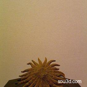 有许多触手的海星之王