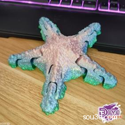 铰接海星