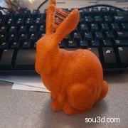 橙色的兔子