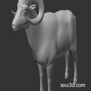 大角羊 3D打印模型 动物