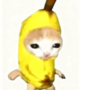 委屈香蕉猫