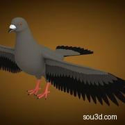 低面卡通动物家禽家畜猪牛羊狗鸡昆虫螃蟹孔雀蜗牛模型pigeon_base_mesh