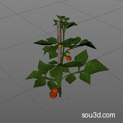科幻太空基地探测车科幻舱实验室楼梯起重机电站油罐模型KB3D_MTM_PropCropTomatoes_A_grp