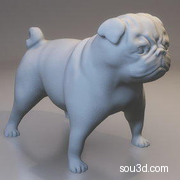 英国斗牛犬