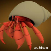 低面卡通动物家禽家畜猪牛羊狗鸡昆虫螃蟹孔雀蜗牛模型hermit_crab_base_mesh