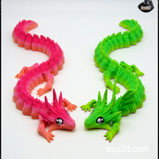 Dragon 龙