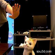 小猫咪扫描打印件