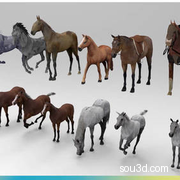 马匹动物骏马坐骑3D模型