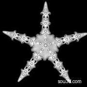 铰链式可活动海星模型