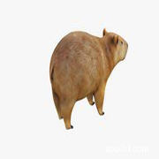 卡皮巴拉 水豚_stl