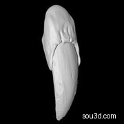 动物爪子机械手臂武器巫婆手指狮子爪子魔爪三维模型