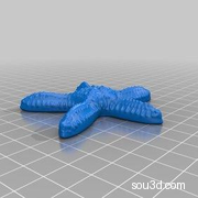海星（Starfish）3D数据