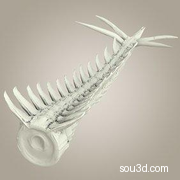 怪兽怪物尾骨尾巴爪子蝎尾鱼尾三维3D打印模型Stego