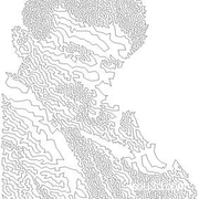 尼古拉特斯拉3d版画