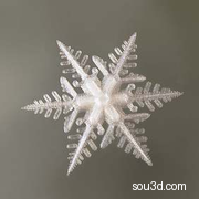 雪花b