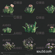景观装饰多肉植物盆栽绿植花卉C4D模型FBX格式3d立体c4d素材C837