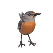 小鸟 夜莺 雀 可爱 写实 动物 Bird 精美模型 01