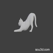 伸懒腰的小猫