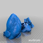 三分心脏模型