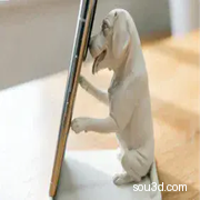 比格犬手机支架