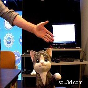 正冲你打招呼的小猫