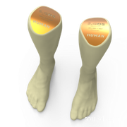扫描人体足部和腿部