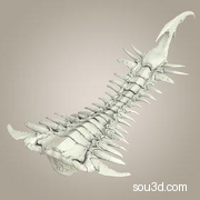 怪兽怪物尾骨尾巴爪子蝎尾鱼尾三维3D打印模型Karaktakus