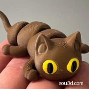 可爱的可动小猫