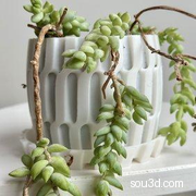 表面晶格花盆