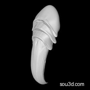 动物爪子机械手臂武器巫婆手指狮子爪子魔爪三维模型facepeeler