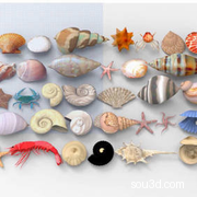 2003现代贝壳 海螺 蜗牛 扇贝 海洋生物 海星 螃蟹 海洋生物摆件 贝壳摆件