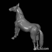 horseMorg马