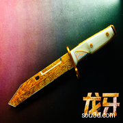 三角洲行动-龙牙