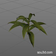 科幻玉米作物