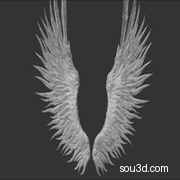 高精度天使翅膀 超细节 雕刻wings1