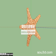 棘皮动物五角海星SU模型