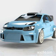 大众Polo R WRC2010