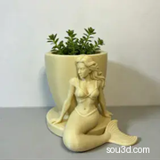 美人鱼花盆