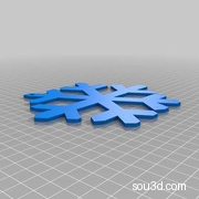 赛斯B. 雪花