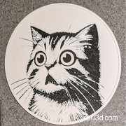 震惊猫杯垫