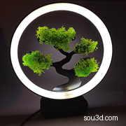苔藓台灯