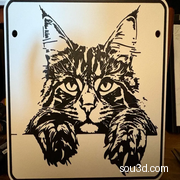 缅因猫2