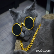 猫咪“富贵项链眼镜”套装