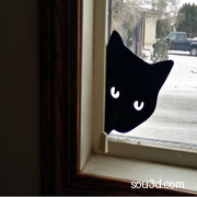 窥视猫剪影